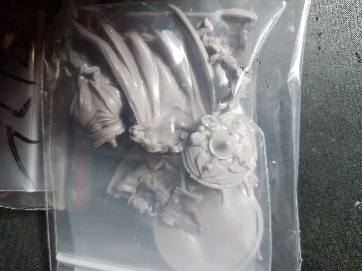 Buyer photo of this resin kit