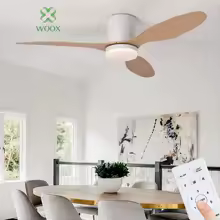 Ventilador de techo + control remoto