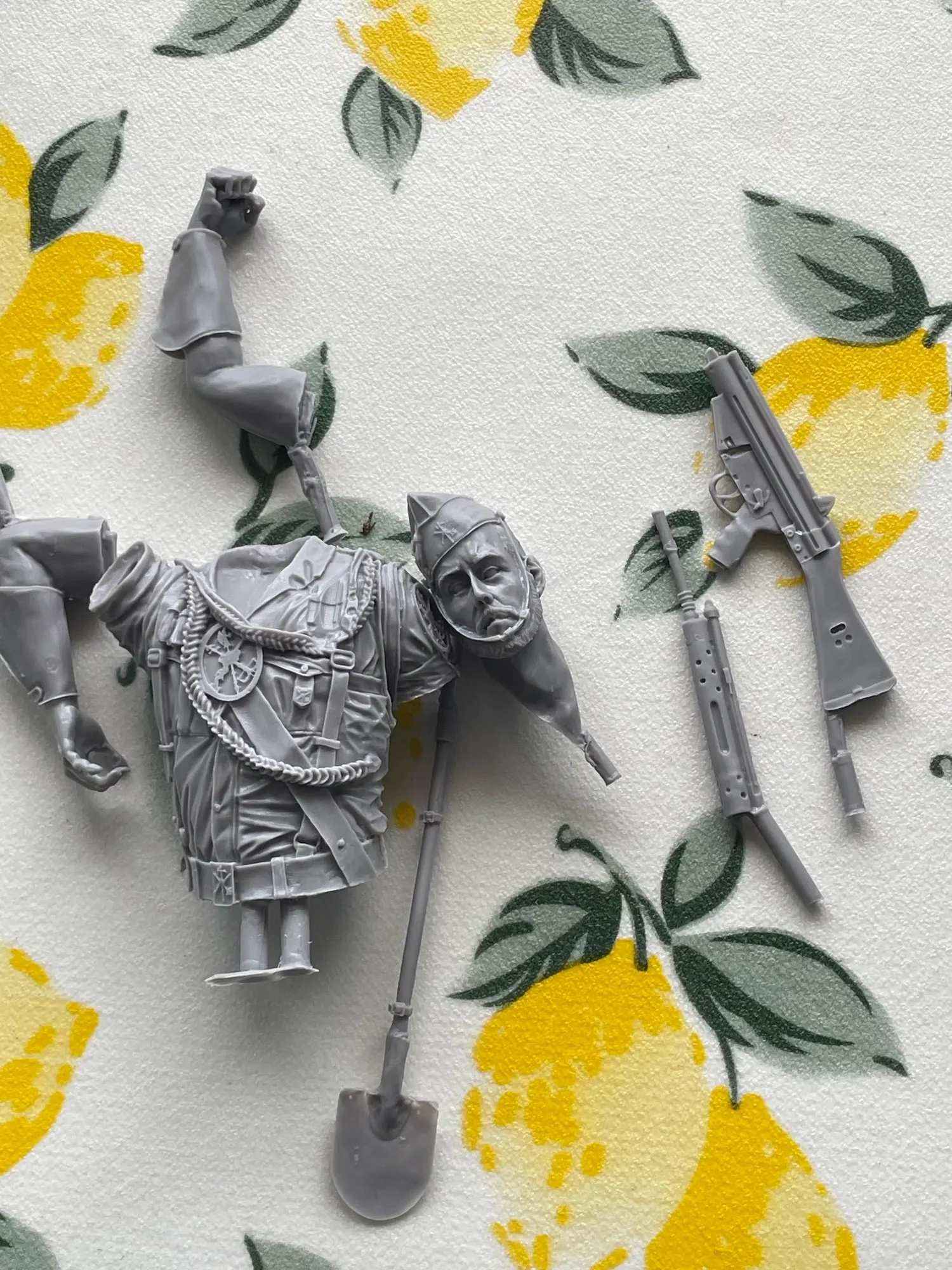 Buyer photo of this resin kit