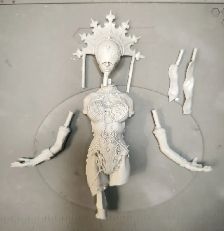 Buyer photo of this resin kit