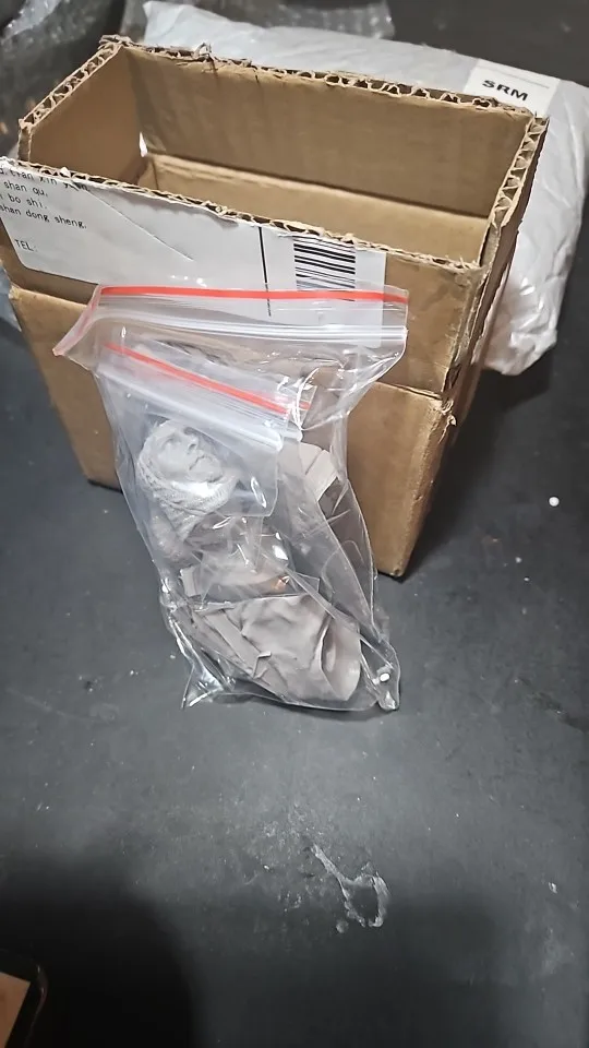Buyer photo of this resin kit