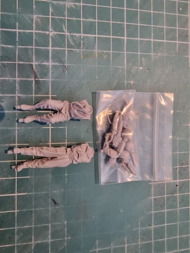 Buyer photo of this resin kit