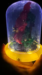 Imagen de reseña 5