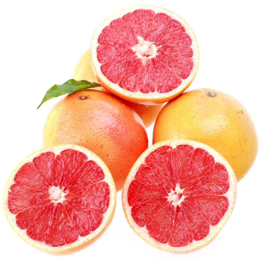 Fresh Red Grapefruit/Direct Import