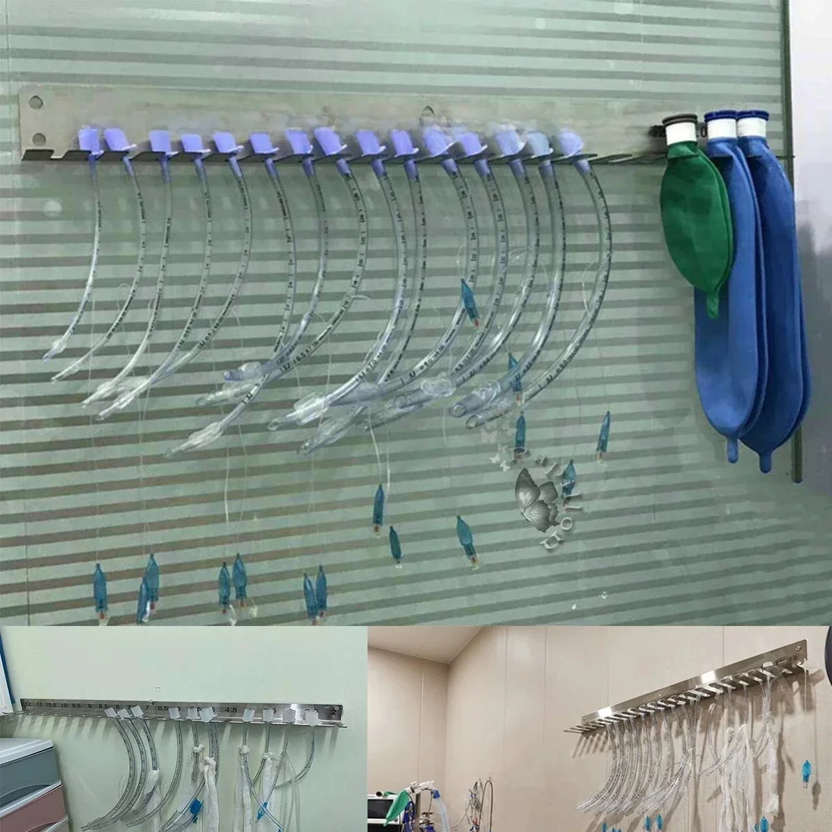 Tube endotrachéal 304, support mural en acier inoxydable, cadre suspendu pour Tubes endotrachéaux, équipement vétérinaire