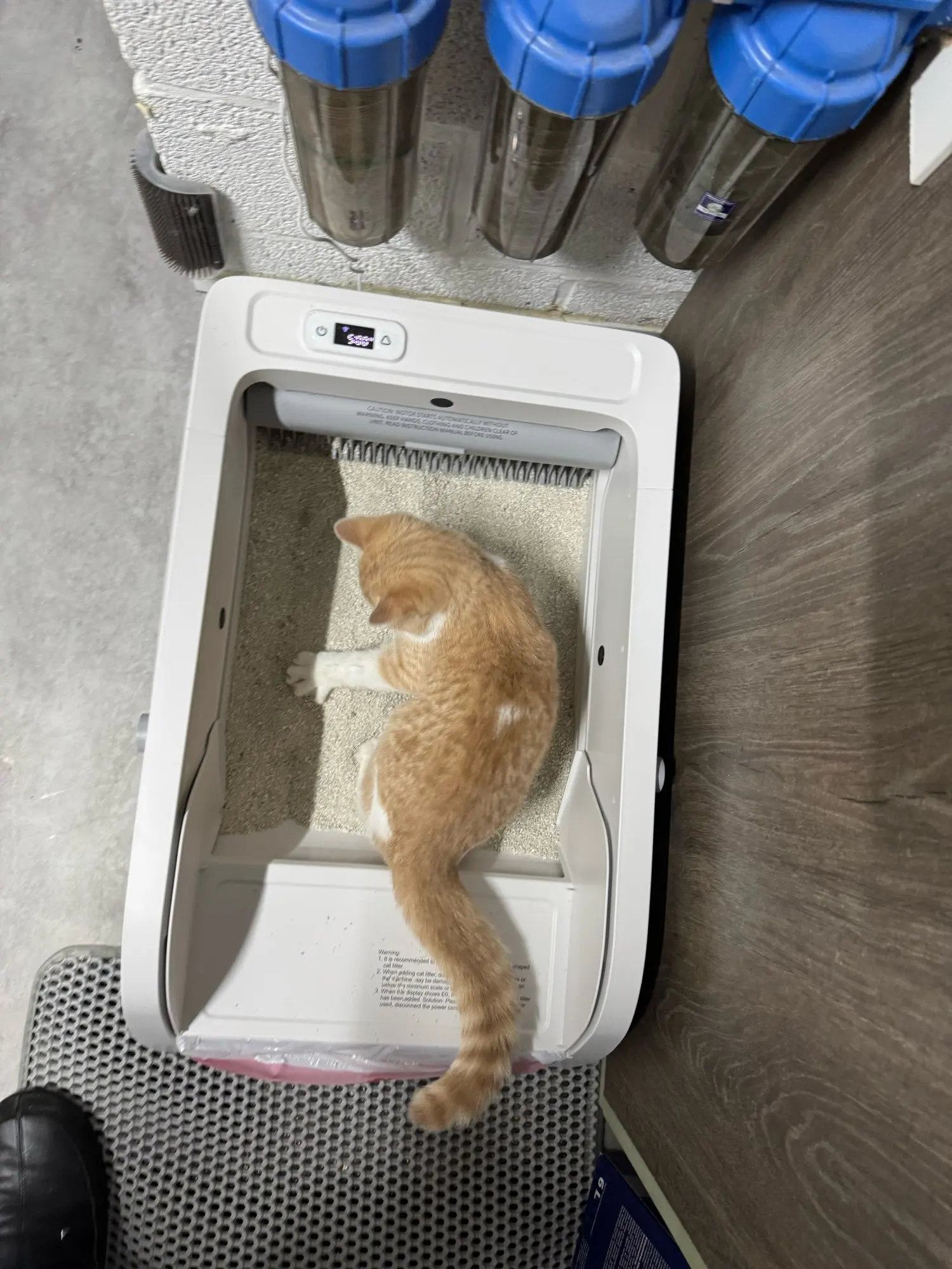 구매후기