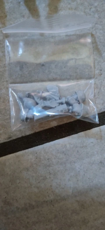 Buyer photo of this resin kit