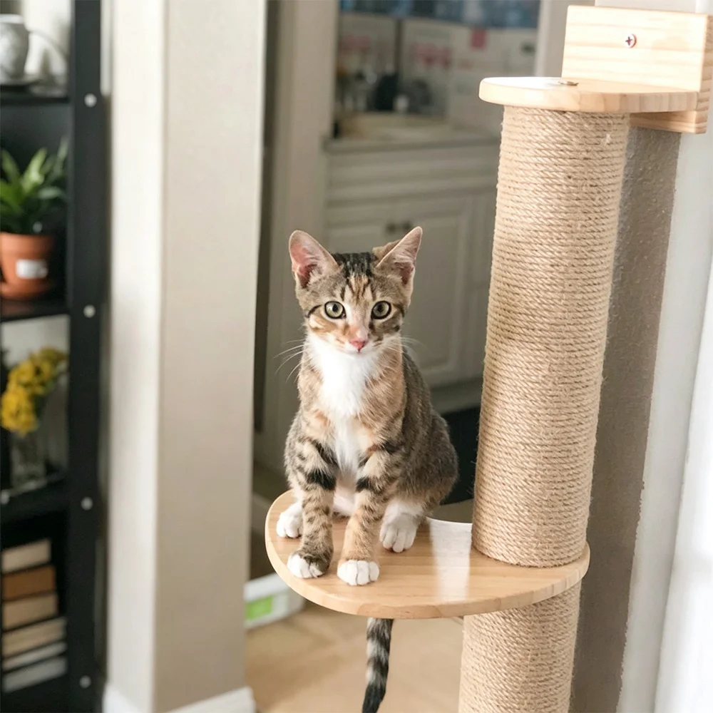 Cat Scratching Post Wall Pet Furniture Wooden Sisal Rope Kitten Scratcher Tree Thicker Columns for Large Cats