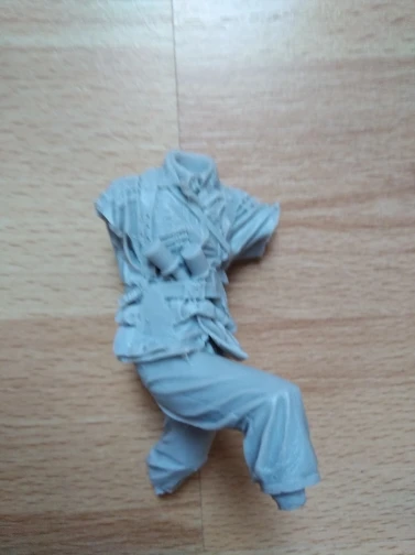 Buyer photo of this resin kit