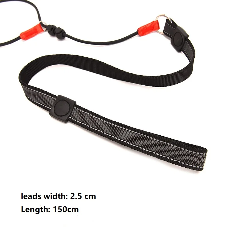 Training Dog Choking Rope Leash 2 in 1 Lead Collar 150cm P-Shaped Chain Slip Lead Control Leash for Small Large Competition Dogs