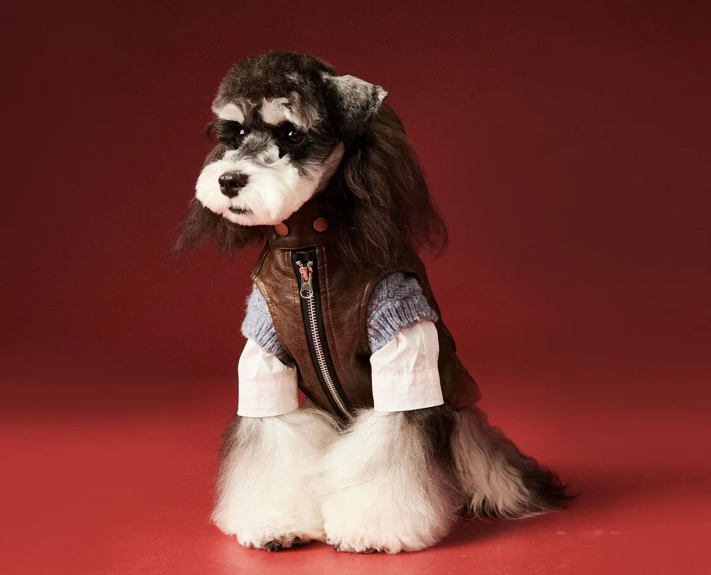 

Brown Faux Leather Dog Jacket with Zipper – Retro Biker Style Pet Outerwear
