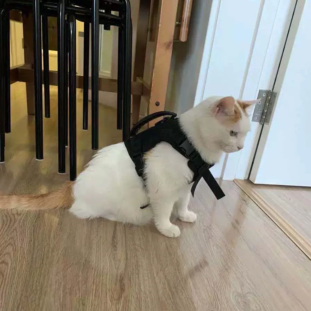 Taktisches Katzengeschirr, ausbruchsicher, verstellbare Weste im Militärstil, bequem für Katzen, Welpen, Outdoor-Spaziergänge, Training – Detail 2