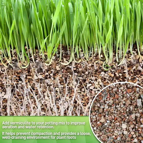 18QT vermikulit för trädgårdsbruk, grov vermikulitkvalitet för krukväxter och trädgårdsskötsel 10 best sales bonsai-frö - №4
