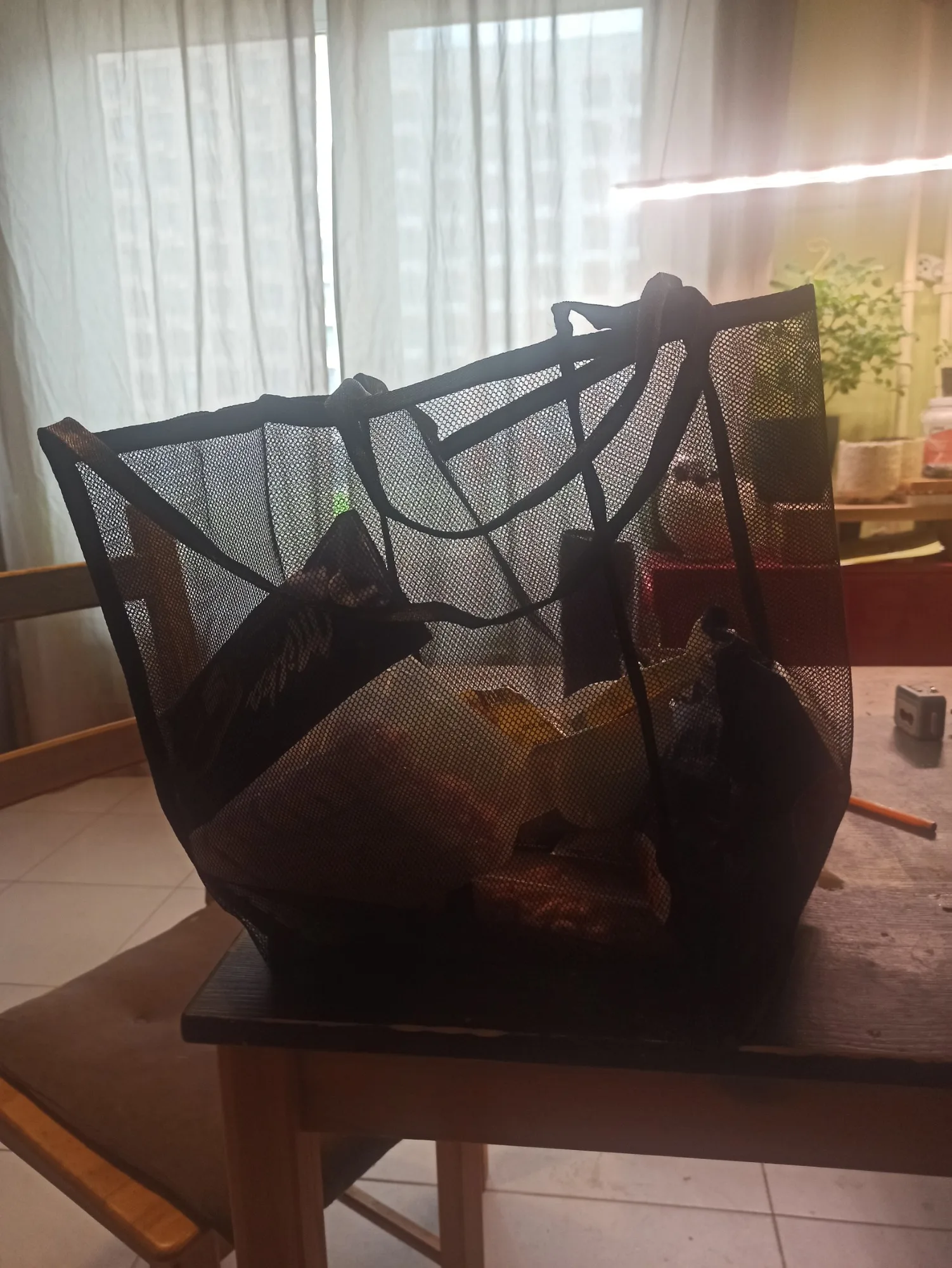 실물 포토 리뷰