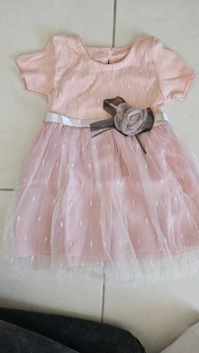 Summer New Baby Girls Dress Sweet Princess Dress Flower Ribbon Mesh Shaggy Gauze Dress Birthday Party Dress photo review
