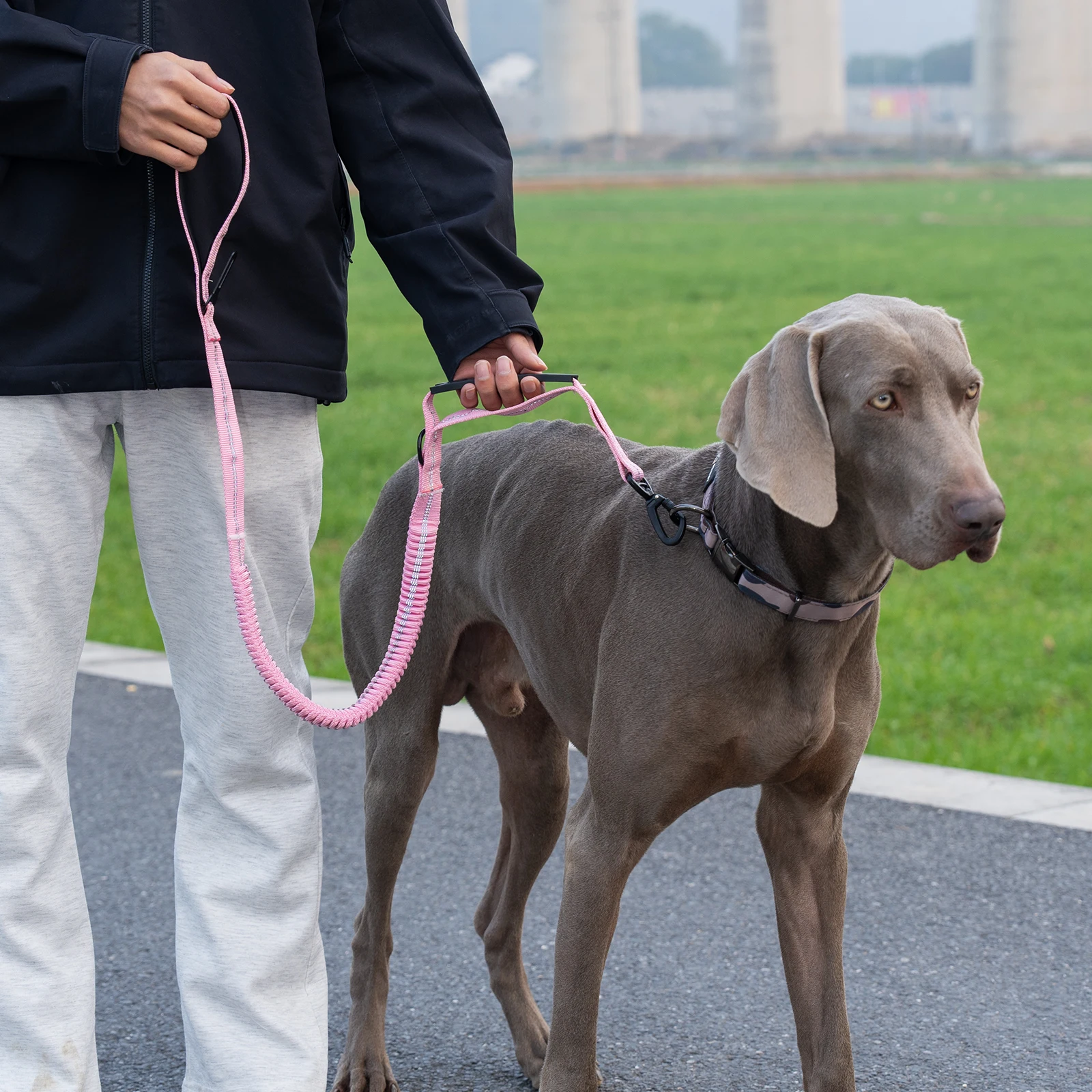 Taktische Hundeleine Robuste Reflektierende Starke Anti-Zug Bungee-Leine für Mittelgroße und Große Hunde mit Komfortablem Gepolstertem Doppelgriff – Detail 17