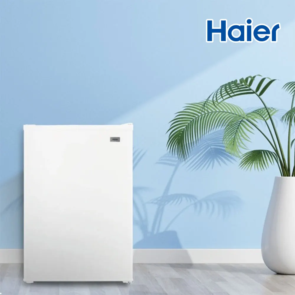 Haier Small Mini Fridge HRT78MDW 76L _ cargo Courier