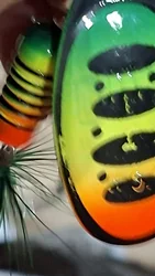 Imagen de reseña 1