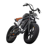 Off Road Fat Tire Electric Bike 750W with 48V 34Ah Battery Ebike Commuter Electric Bicycle for Adults