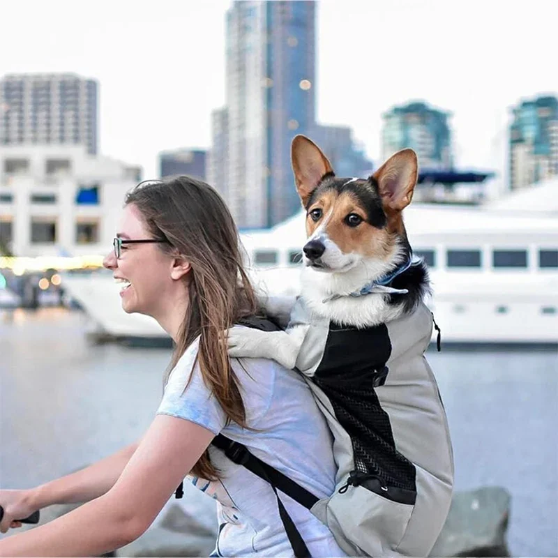 AliExpress UK XLeiPet Strong Nylon Dog Carrier Backpack for Small Medium Dogs High Quality Breathable Cycling Backpack for