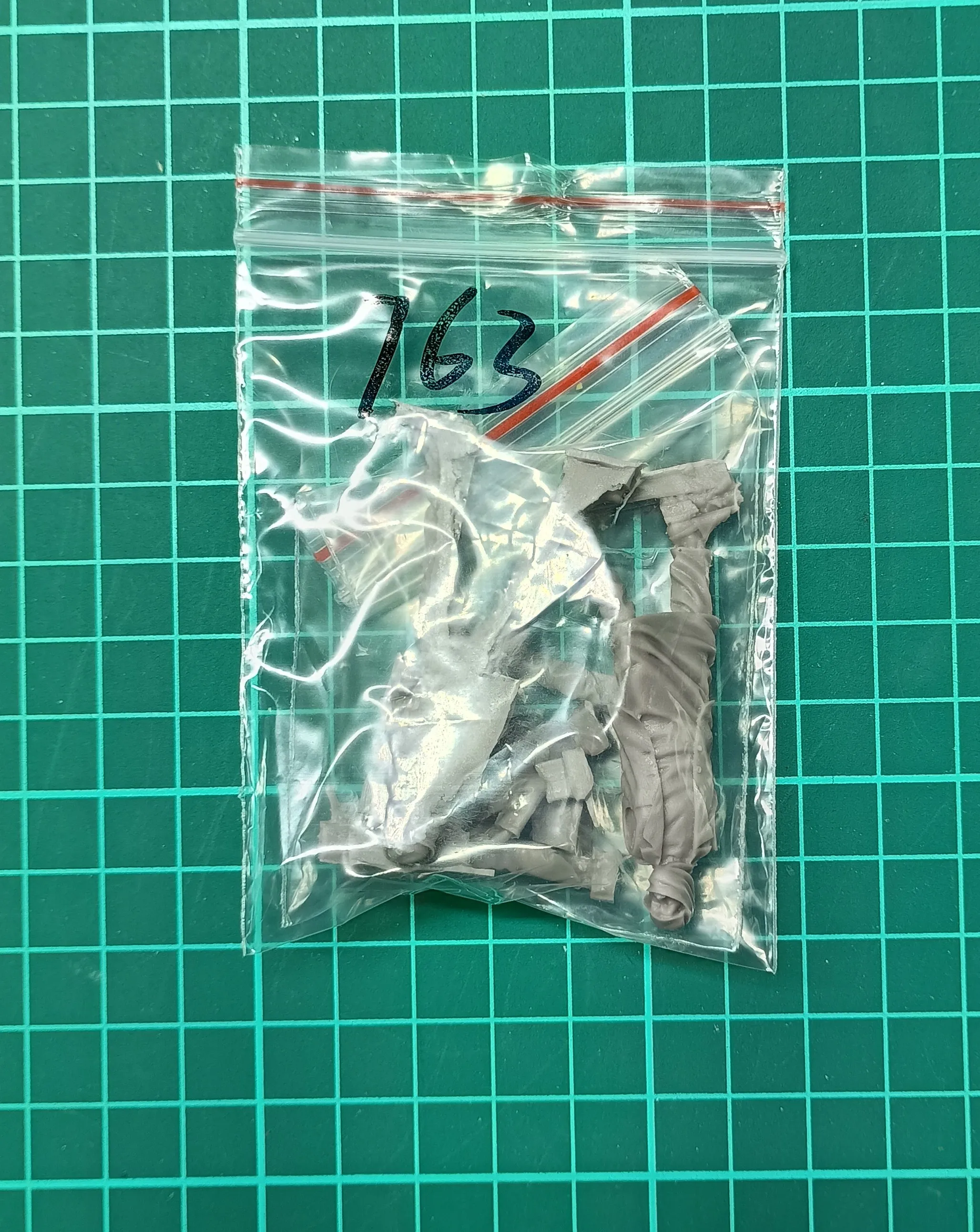 Buyer photo of this resin kit