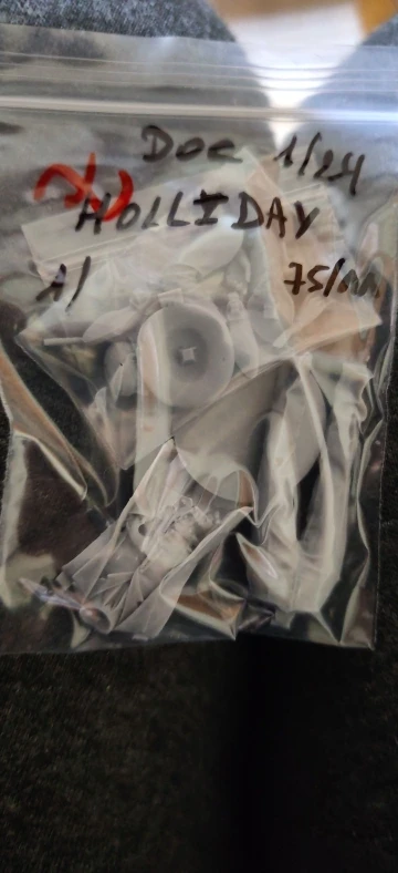 Buyer photo of this resin kit