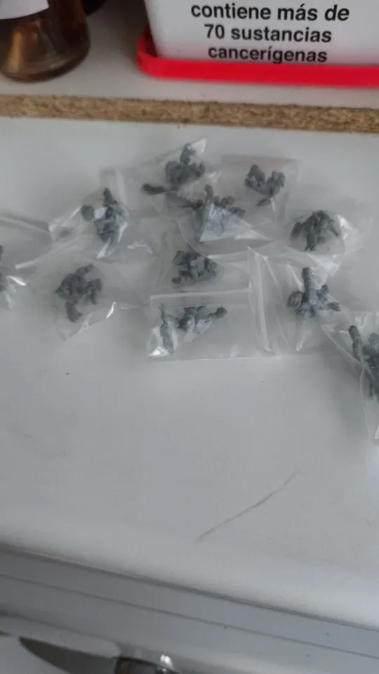 Buyer photo of this resin kit