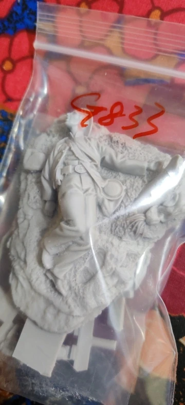 Buyer photo of this resin kit