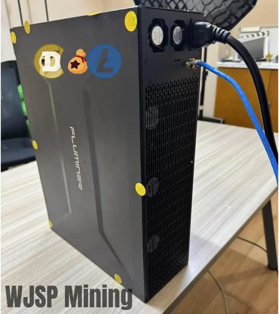 

KO BUY 2 GET 1 FREE New Fluminer L1 Doge LTC BEL Coin Miner 5.3Gh/s 1200W 110-240V in Stock