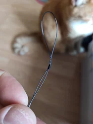 Imagen de reseña 3