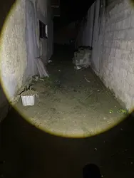 Imagen de reseña 1