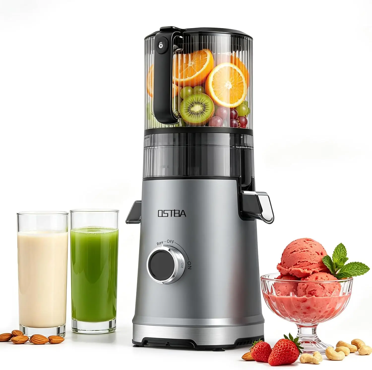 Cold Press Juicer, 600W Slow Masticating Juicer with Large Feed Chute