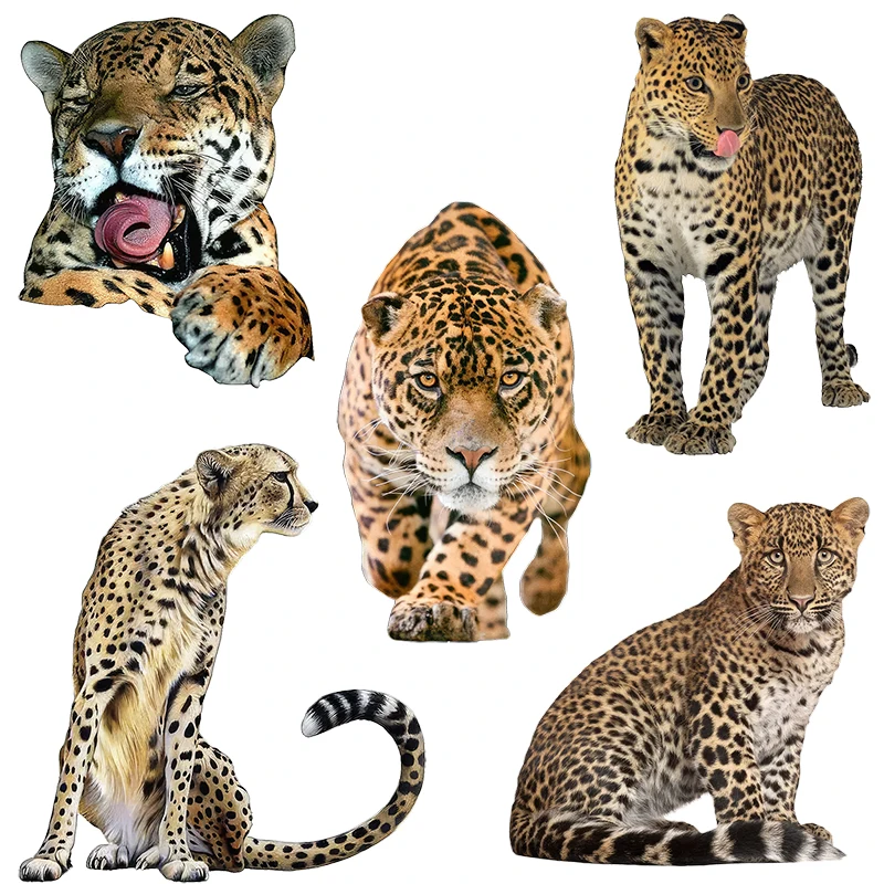 Three Ratels QD150 cool Leopard  Personalized waterproof car stickers  computer decals art wall stickers