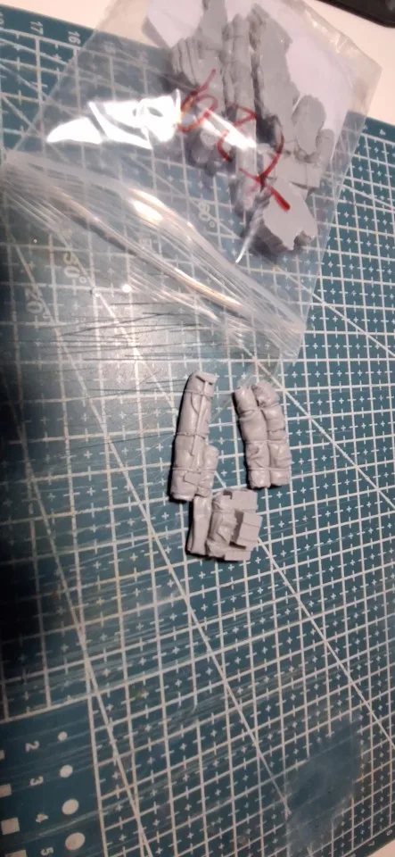 Buyer photo of this resin kit