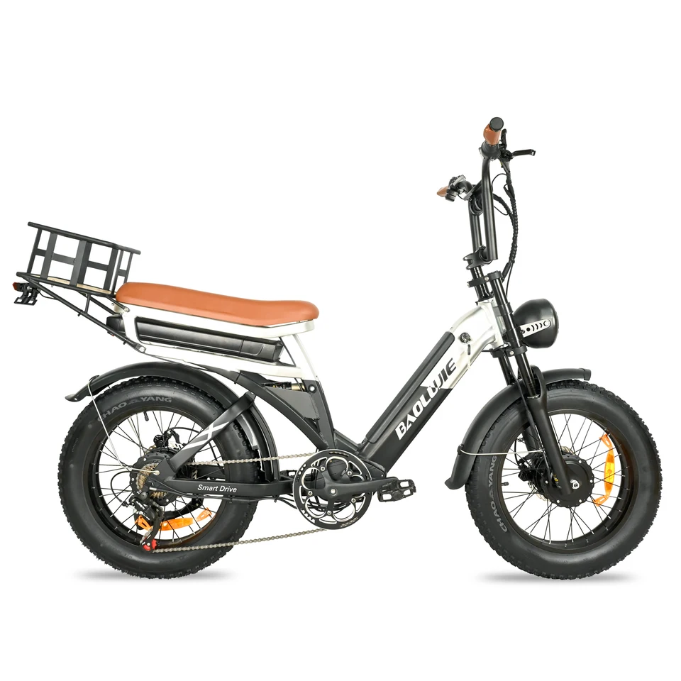 BAOLUJIE DP-2033  adult E-bike 1000W*2 48V15+15Ah battery commute Electric Bike,20-inch Fat Tire E-Mountain bike image 1