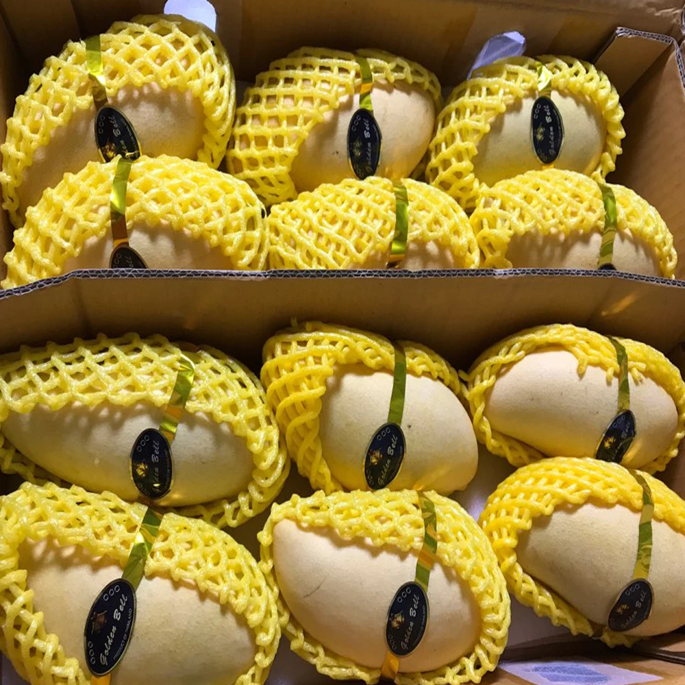 Manga 5kg Alto Azúcar
