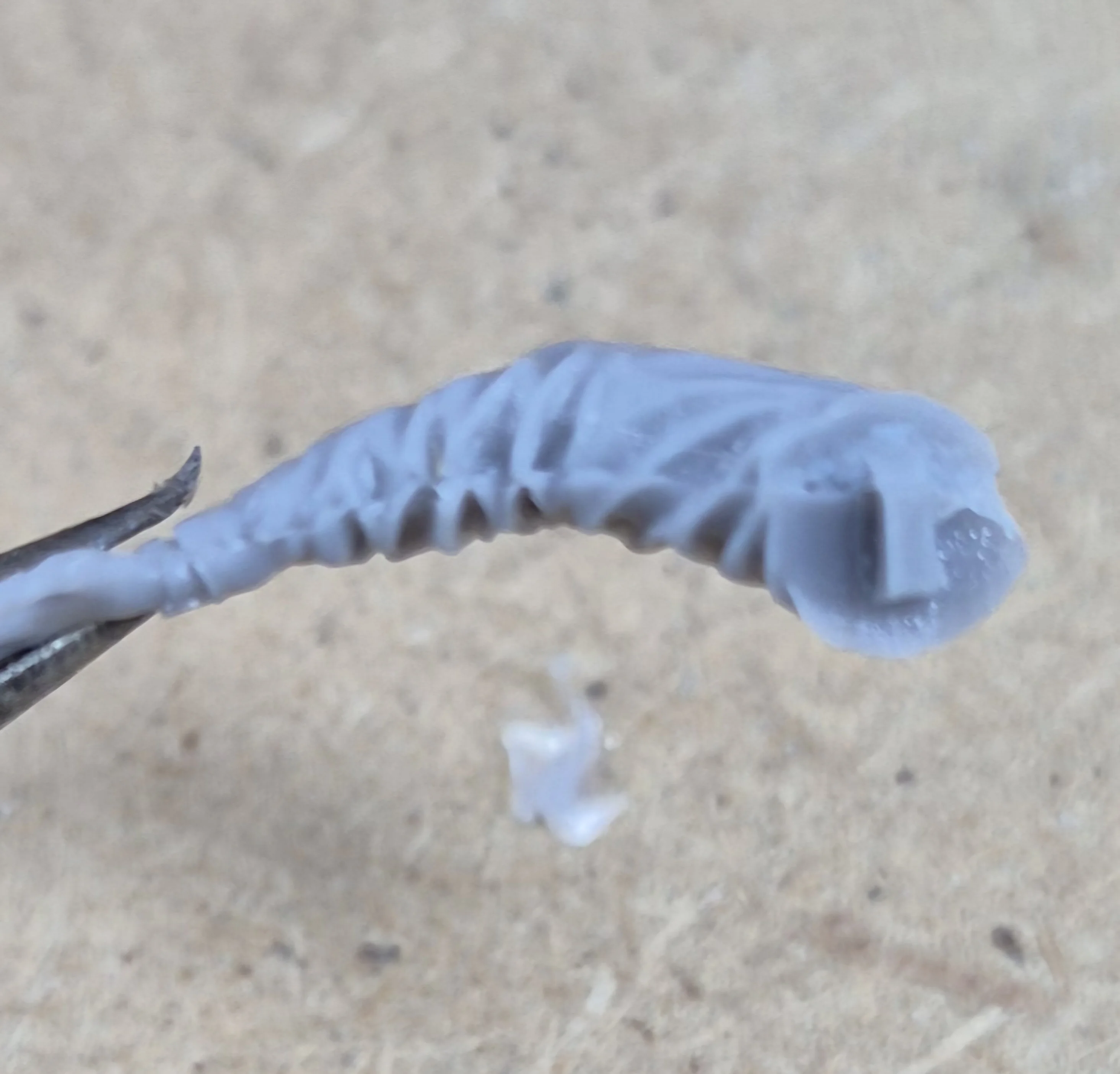 Buyer photo of this resin kit