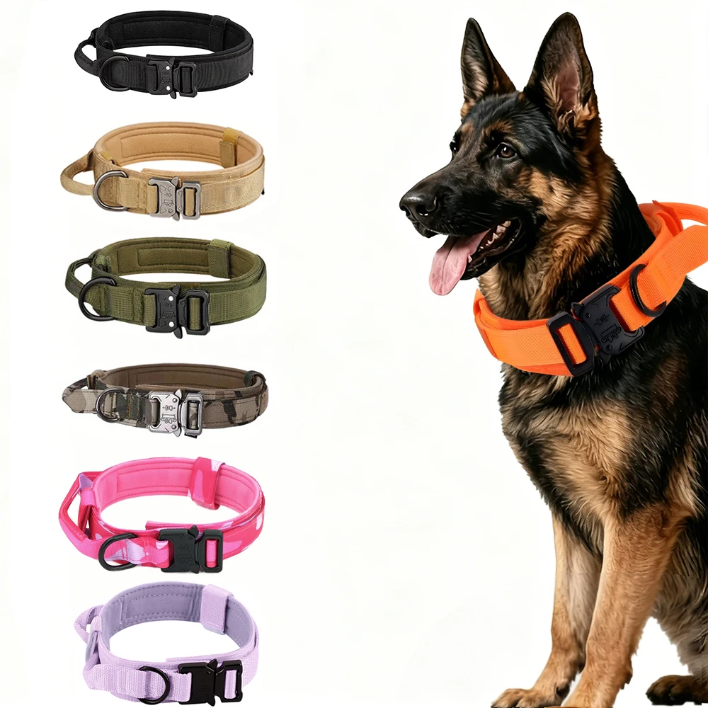 #37 Compare Dog Collars Before You Buy