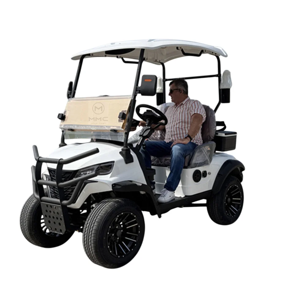 

2, 4, 6, 8-местный 48/60/72 В, багги для живописного патруля, гольф-кар, электрическая тележка для гольфа, 4 колеса для взрослых