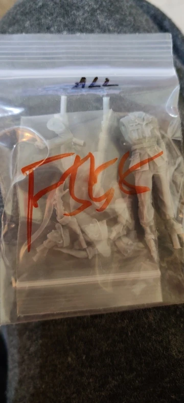 Buyer photo of this resin kit