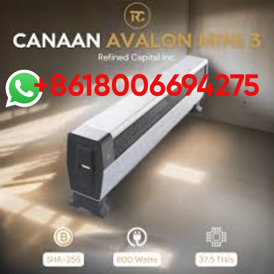 SC В наличии Canaan Avalon Mini 3 37,5 TH/s BTC Bitcoin Miner 800 Вт Solo Mining SC В наличии Canaan Avalon Mini 3 37,5 TH/s BTC Bitcoin Miner 800 Вт Solo Mining