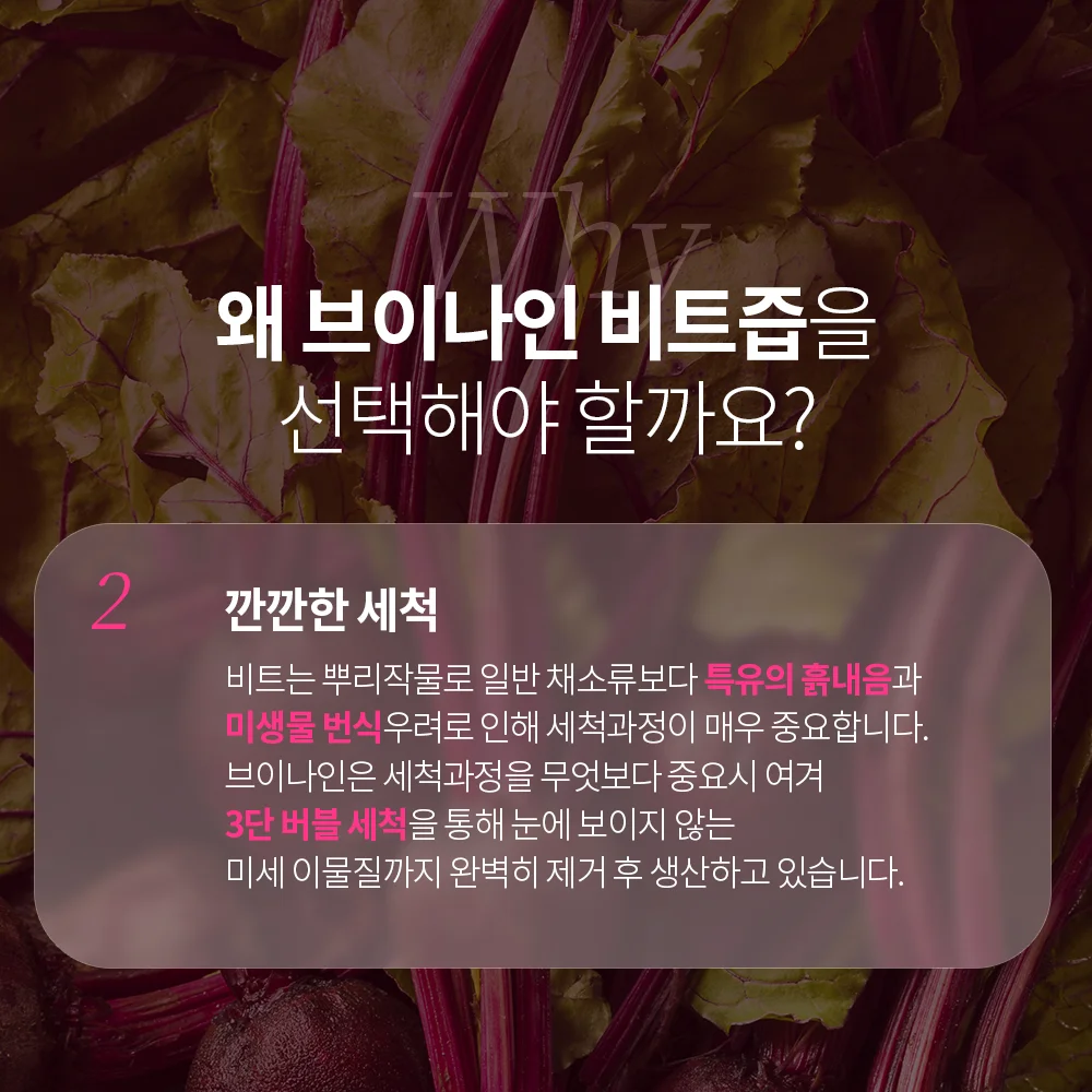 브이나인 국내산 물 없이 만든 착즙 비트즙 100mL X 25포 1박스