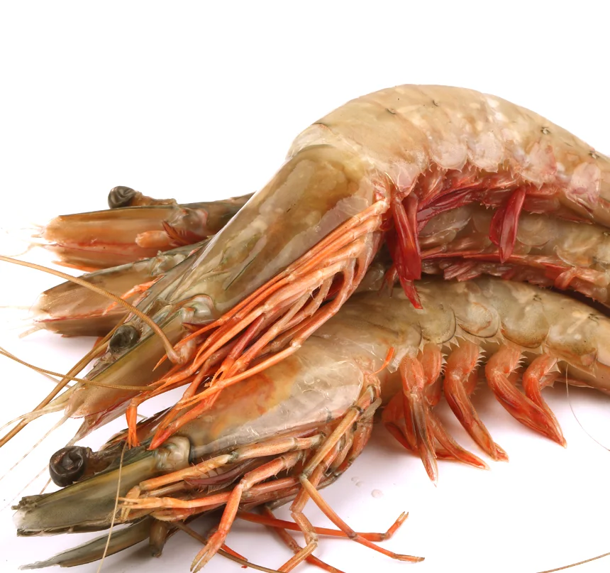 [바다우체국] 자연산 랍스타 바나나새우 1kg 무료배송(평일1시마감 당일발송 내일도착)