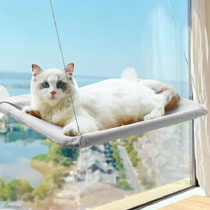 Cat bed window hammock window frame suction cat tower window shelf