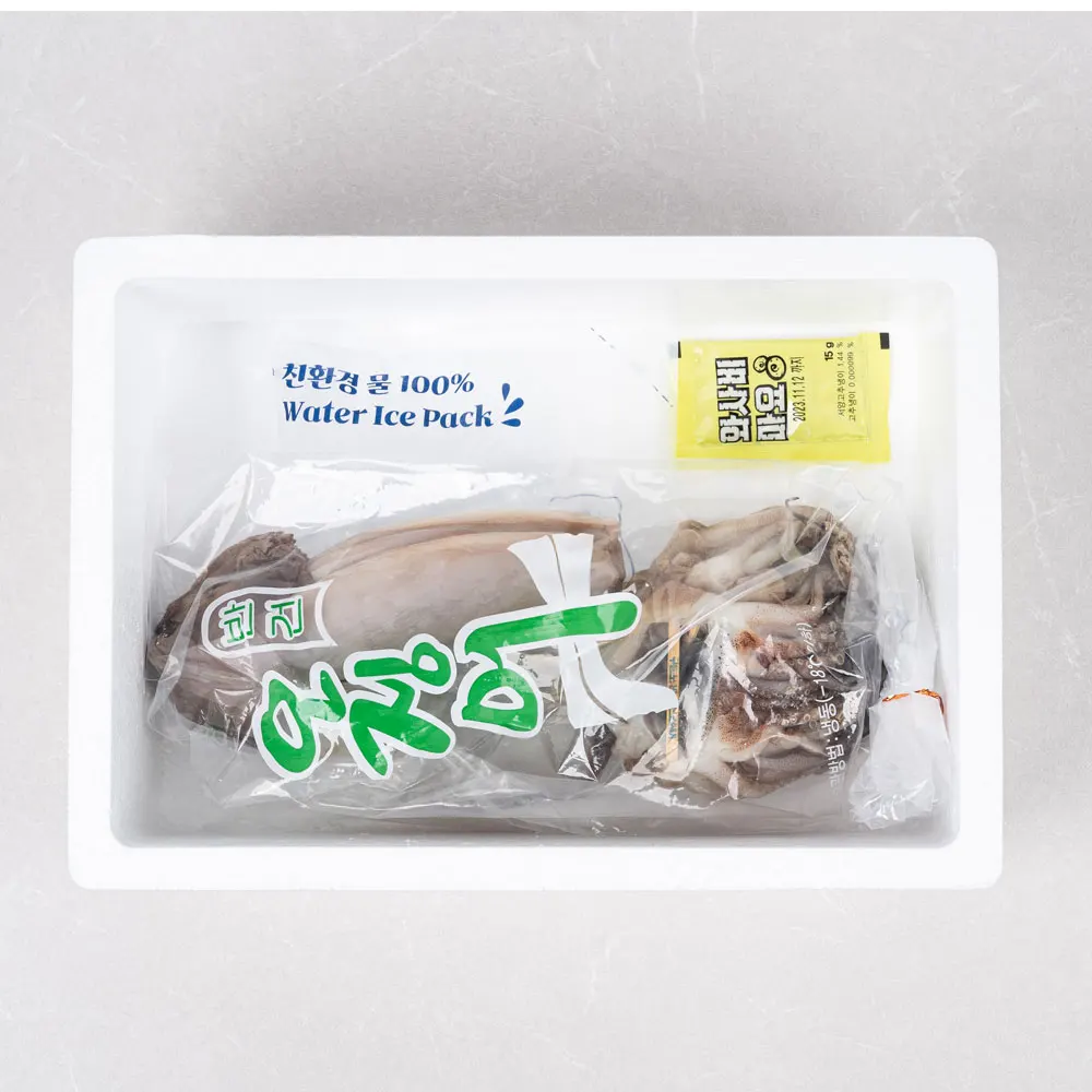 [신통씨푸드] 동해안 구룡포 반건조오징어 10미 1.75kg 내외 왕특대