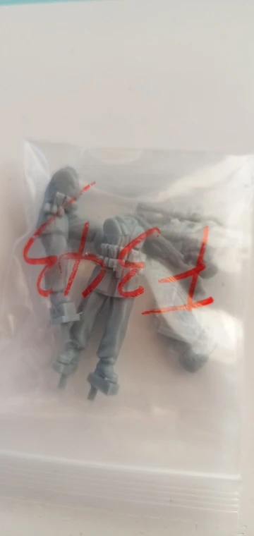 Buyer photo of this resin kit
