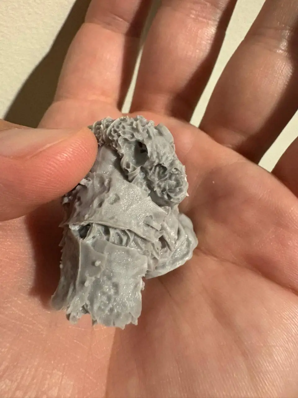 Buyer photo of this resin kit