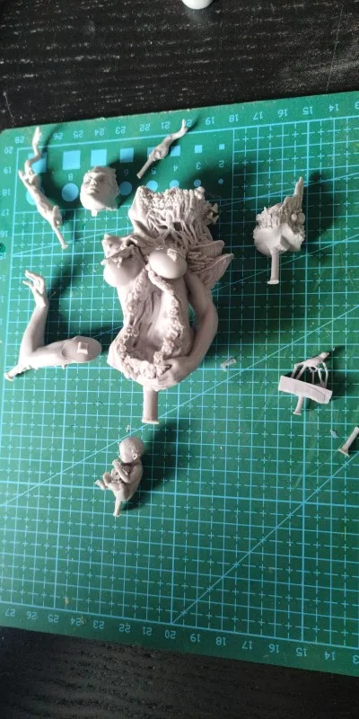 Buyer photo of this resin kit