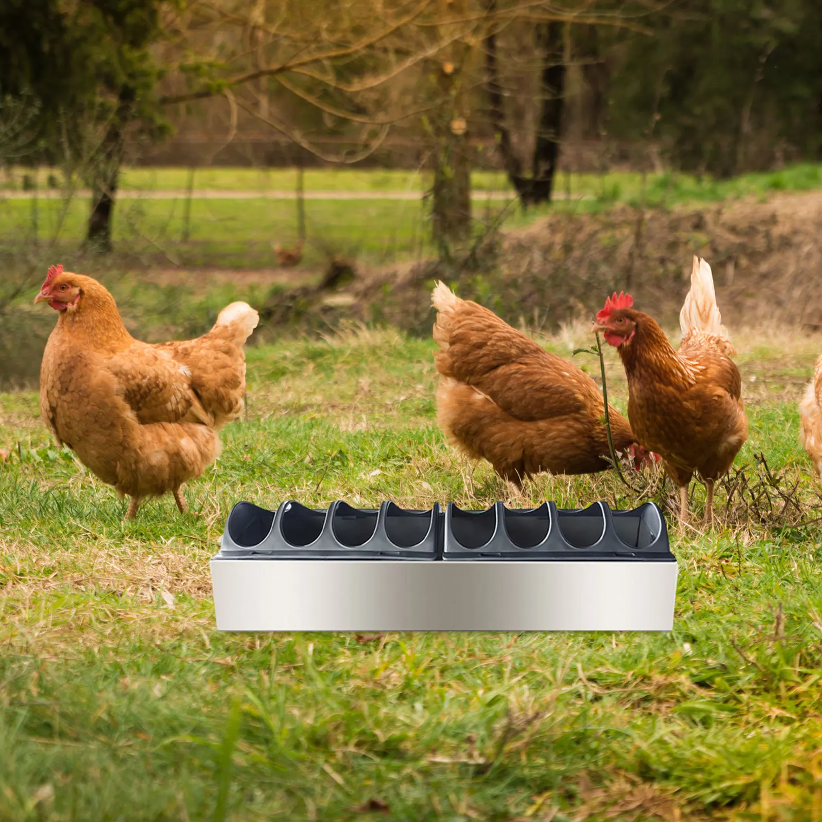 Stainless Steel Chicken Feeder Trough Multi Hole Poultry Feeding Tray Large Capacity Chick Feeding Dispenser for Home Farm