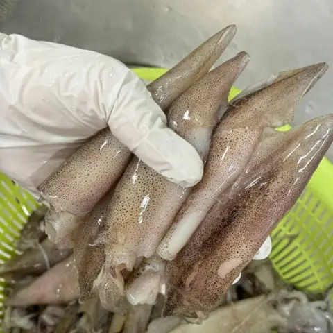 [푸디앤] 총알 한치 500g / 미식가들이 즐겨찾는 살이 달면서 연하고 내장이 크리미한 총알 한치 Best5